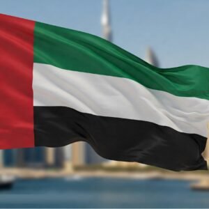 UAE Smart App Interface